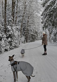 Vinterpromenad.